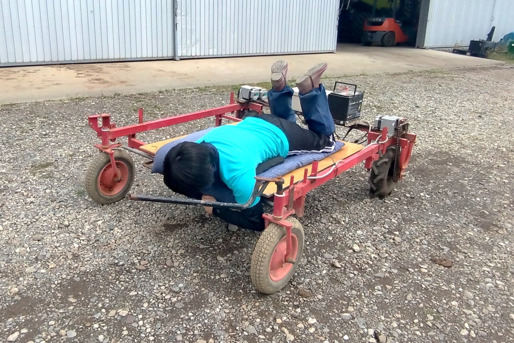 ダイコンの間引き車を電動化！1シーズン使ってみました＆自慢のまかない