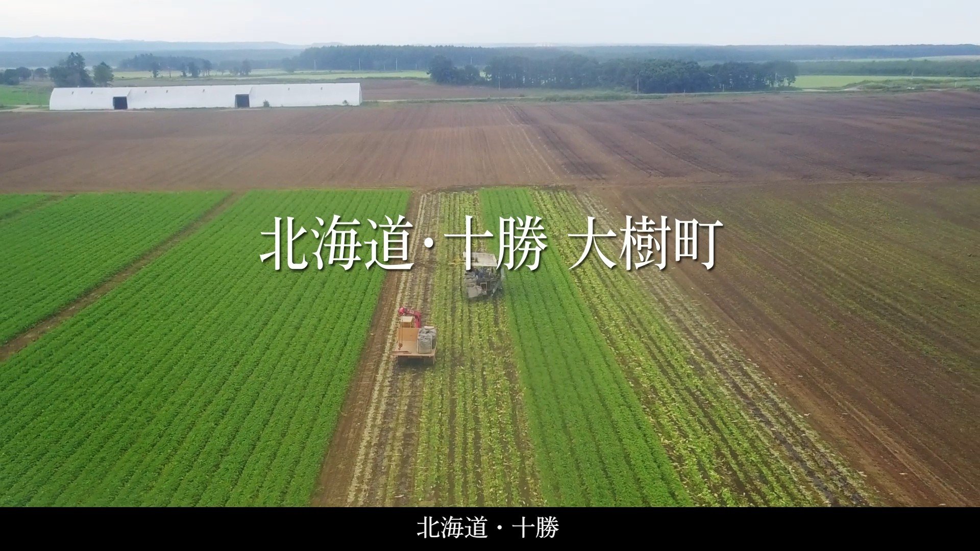 記念動画「オーランドファームのあゆみ～ 2022年の記憶 ～」公開しました